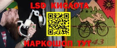 гидра Краснокаменск