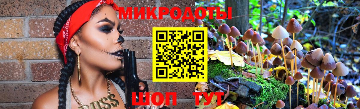 Псилоцибиновые грибы Psilocybe  Вход с VPN  где купить наркоту  Фурманов 